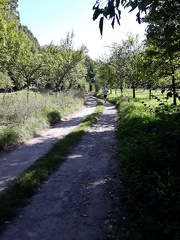 hanka2