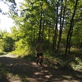 IMG 20190921 120712