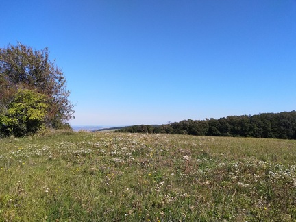 IMG 20190921 140006